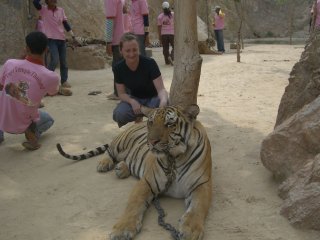 tiger-jaime.jpg