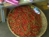 dalat-market-chilies.jpg