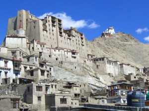 Leh Palace with Gompa in Background