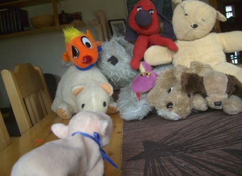 (Stuffed) Animal Farm