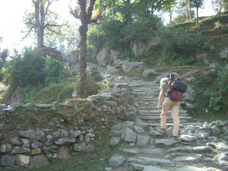 Climbing, climbing and more climbing