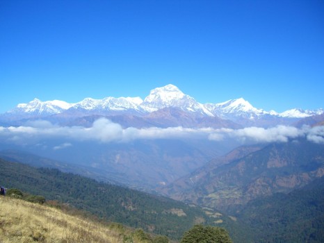 Dhaulagiri massif from above ghorepani