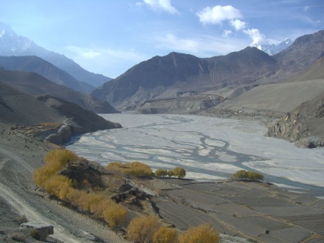 Fossil hunting ground