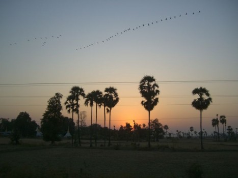 view from burmese train